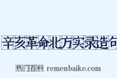 辛亥革命北方实录造句是什么意思的图片